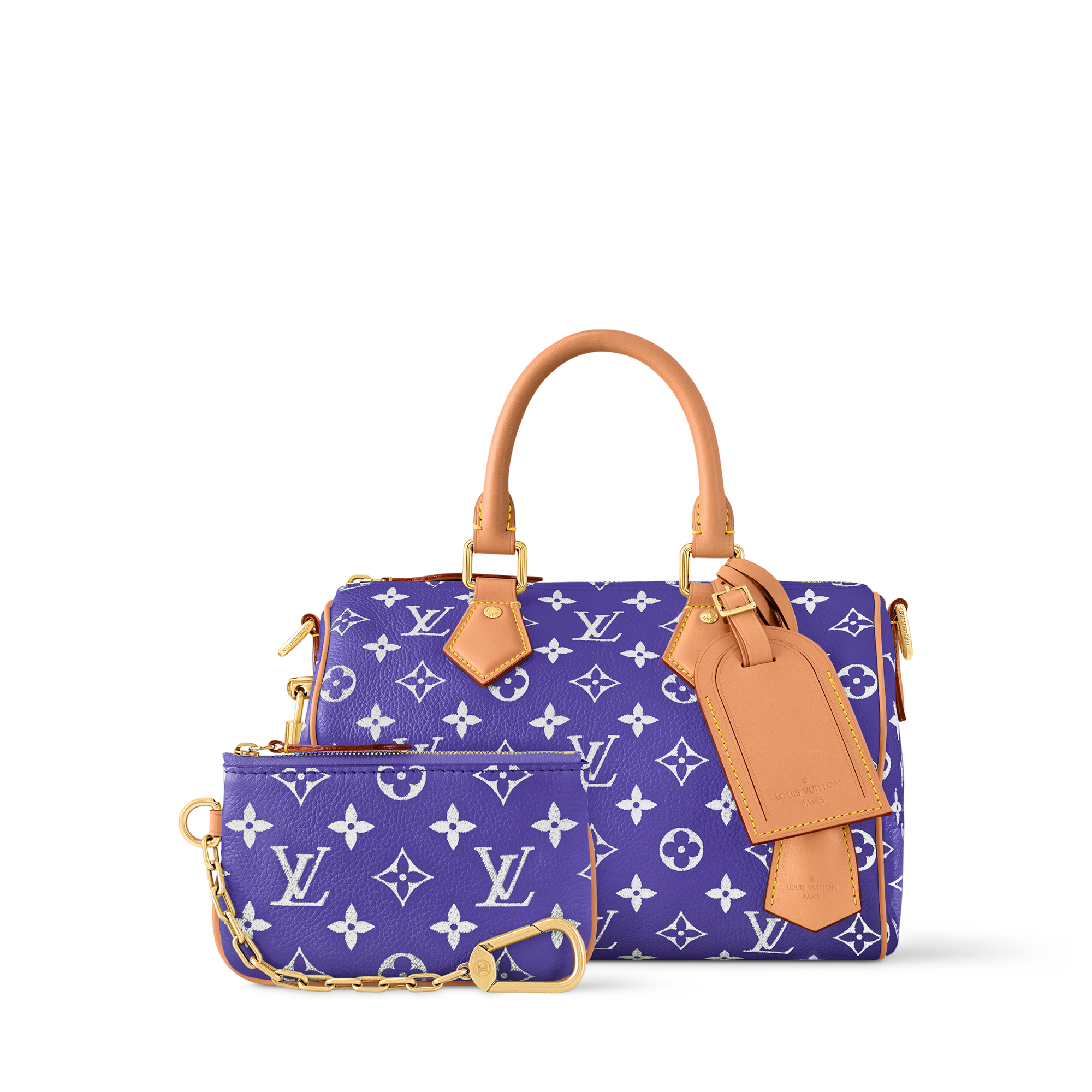 Speedy P9 Bandoulière 25 H40 - Leather Goods and Travel | LOUIS